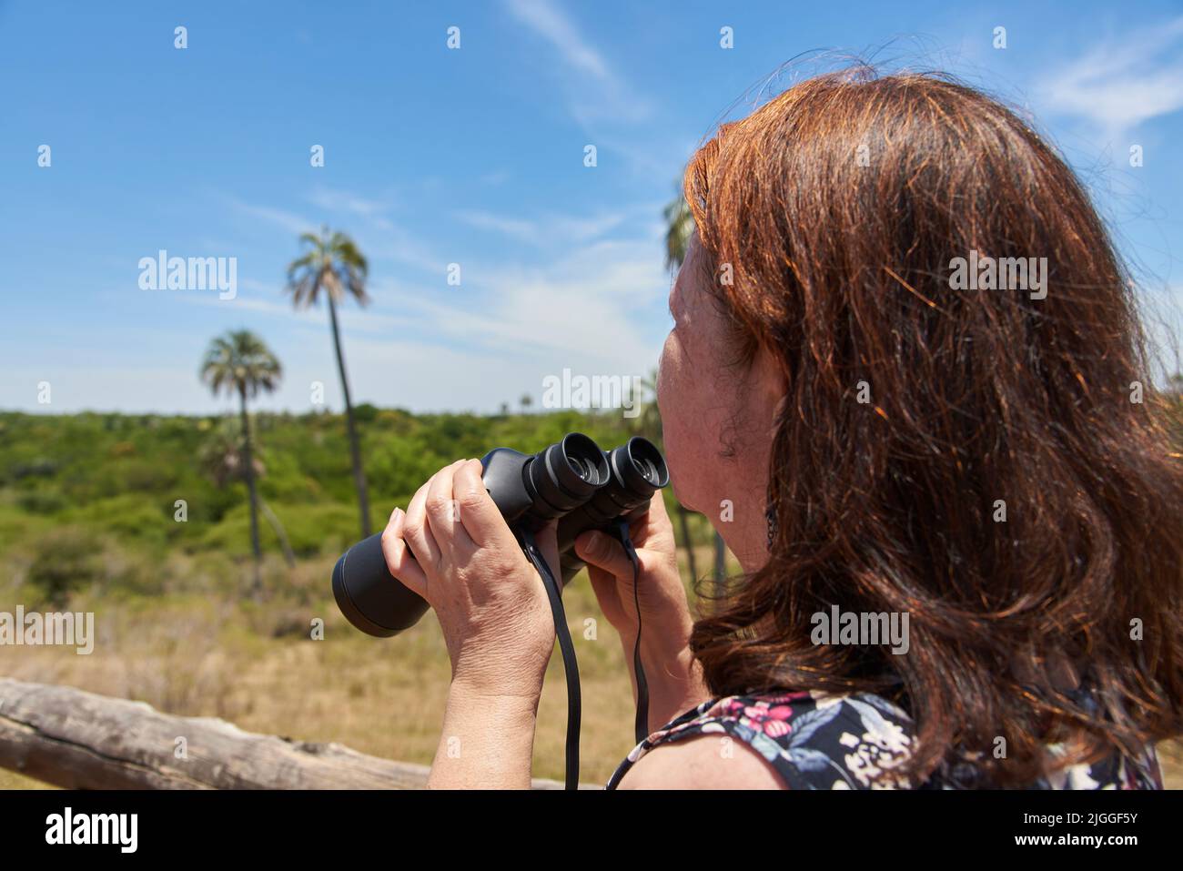 Donna ispanica matura utilizzando binocoli, visitando il Parco Nazionale di El Palmar, in Entre Rios, Argentina, durante le sue vacanze estive. Viaggi e avventura, Foto Stock