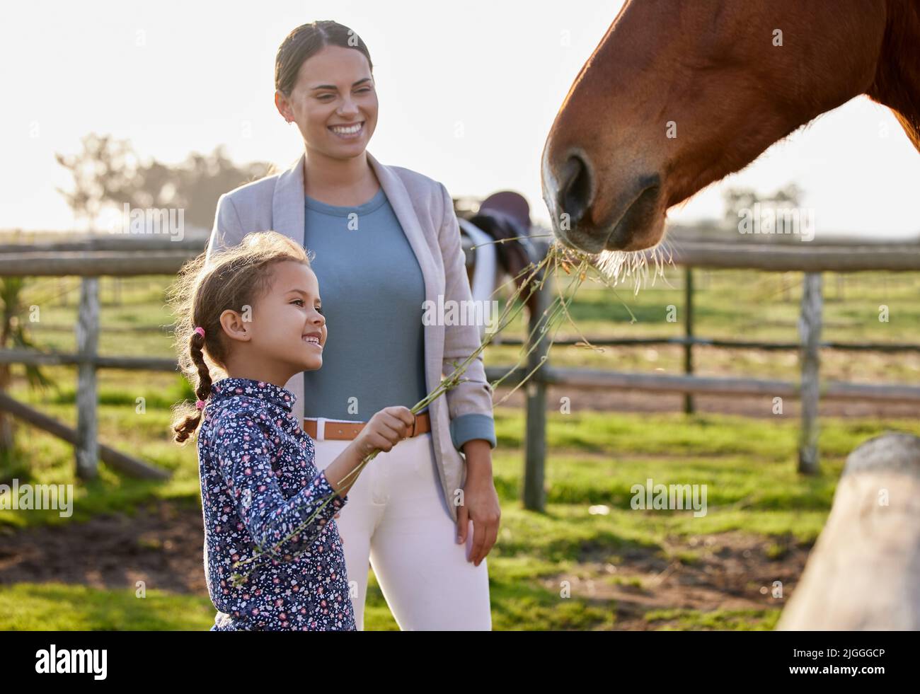 Hey horsey, ti ho fatto uno spuntino. Una bambina adorabile che nutre un cavallo nella sua fattoria mentre sua madre guarda sopra. Foto Stock