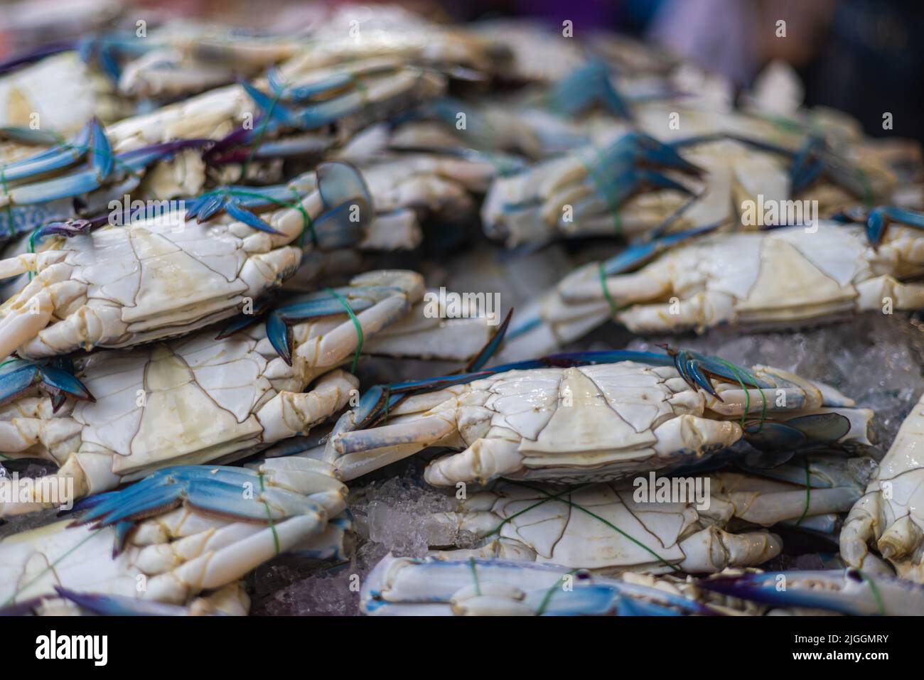 Granchio appena pescato sul banco di un pescivatore a Kuala Lumpur, Malesia. Il pescato del giorno dalla mattina è venduto fresco la sera. Stre Foto Stock