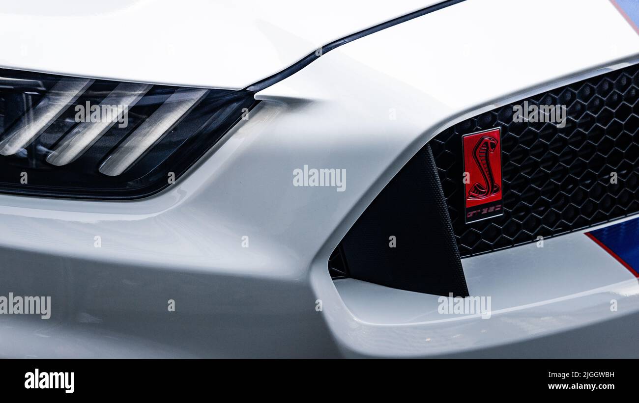 Fronte con logo Ford Mustang Shelby GT350 Foto Stock