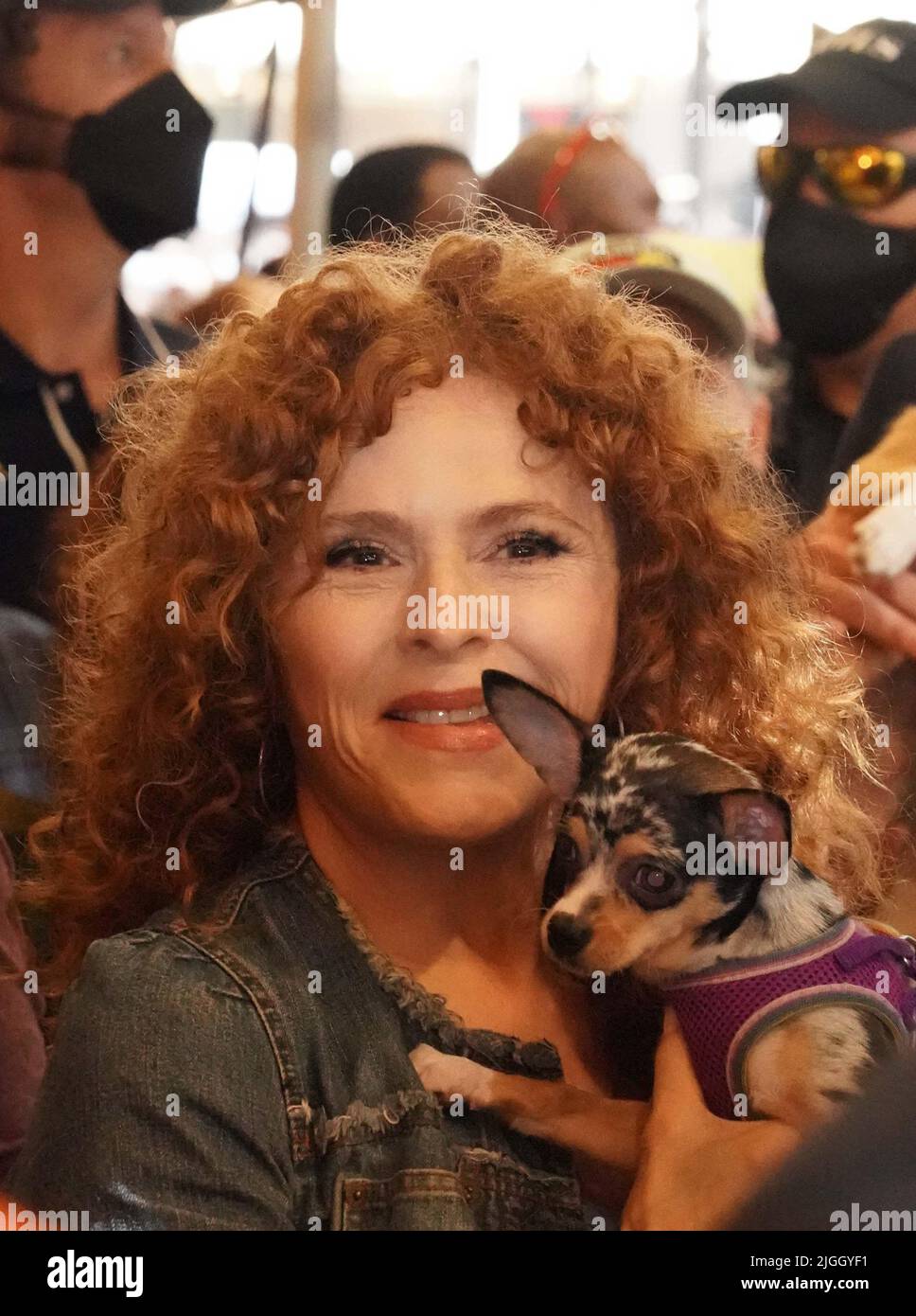 New York, Stati Uniti. 08th luglio 2022. I volontari di Westchester SPCA mostrano il cane per l'adozione all'evento annuale di Broadway Barks PET Adoption, ospitato da Bernadette Peters a Shubert Alley, New York. Credit: SOPA Images Limited/Alamy Live News Foto Stock