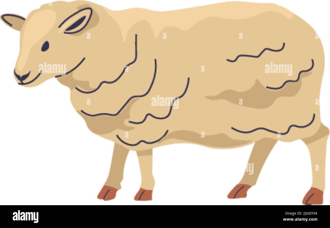 Allevamento di ovini animali, produzione di lana e carne Illustrazione Vettoriale Allevamento di ovini animali, produzione di lana e carne Illustrazione Vettoriale