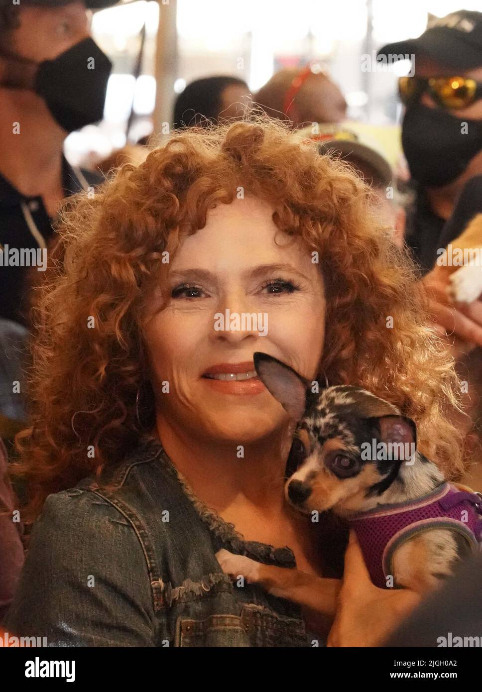 New York, Stati Uniti. 8th luglio 2022. I volontari di Westchester SPCA mostrano il cane per l'adozione all'evento annuale di Broadway Barks PET Adoption, ospitato da Bernadette Peters a Shubert Alley, New York. (Credit Image: © Catherine Nance/SOPA Images via ZUMA Press Wire) Foto Stock