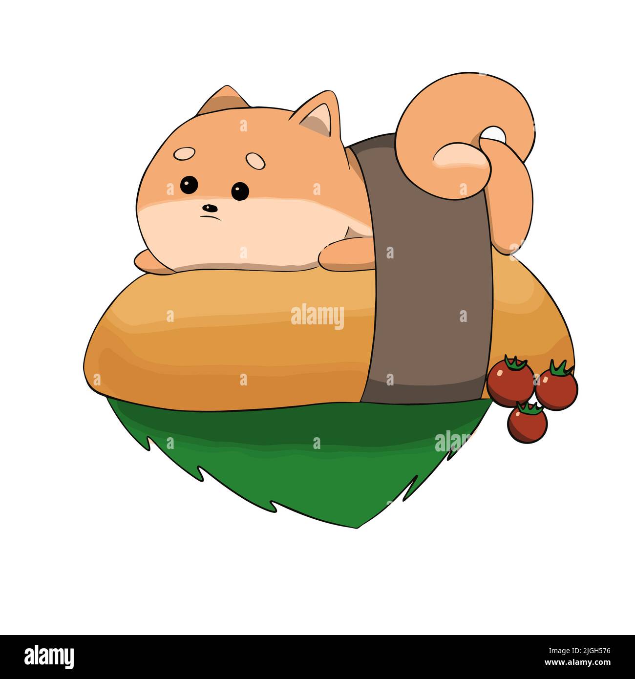 Shiba Inu si trova sullo stomaco dell'isola accanto ai pomodori Illustrazione Vettoriale