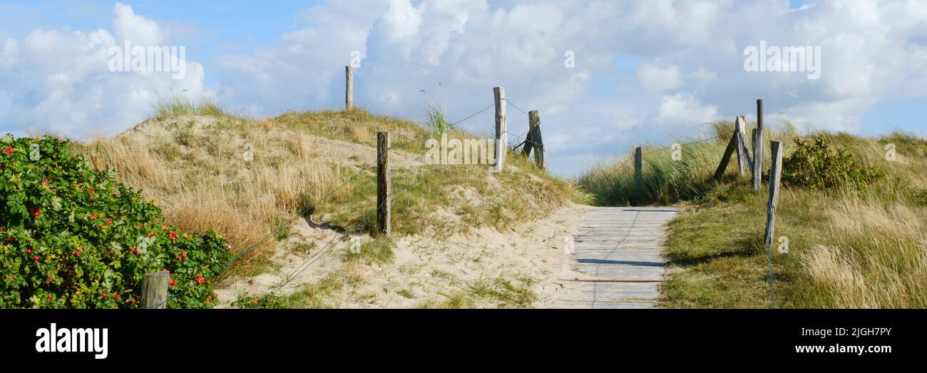 Paesaggio delle dune a Wangerooge, isola frisone orientale, bassa sassonia, Germania, Europa Foto Stock Paesaggio delle dune a Wangerooge, isola frisone orientale, bassa sassonia, Germania, Europa Foto Stock