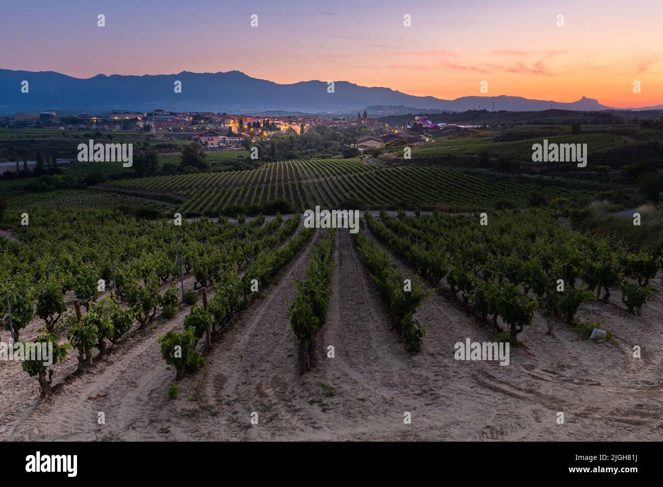 Vigneti e città di Elciego all'alba, Rioja Alavesa, Spagna Foto Stock