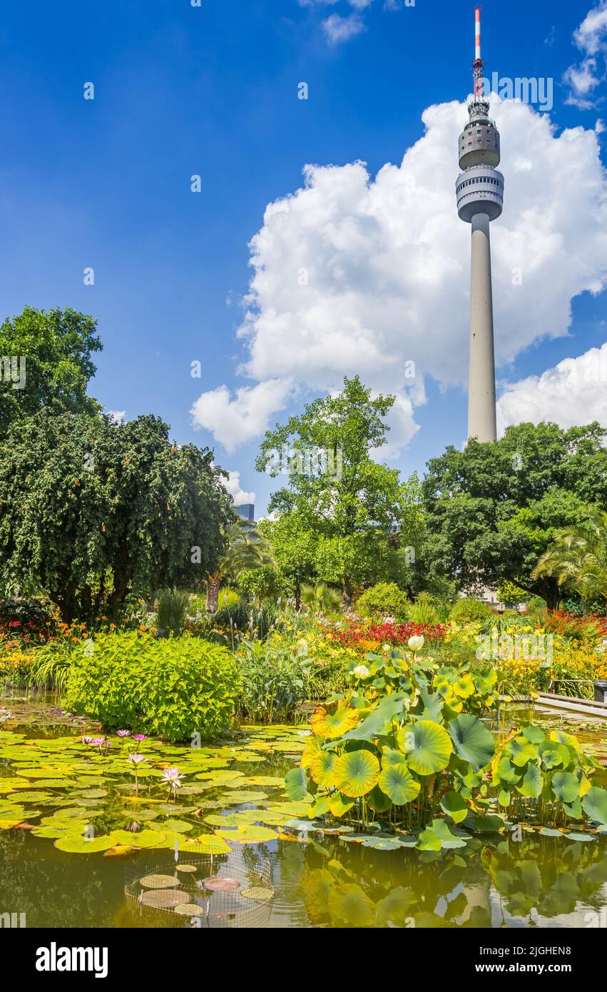 Laghetto e fiori di fronte alla torre della televisione di Dortmund, Germania Foto Stock