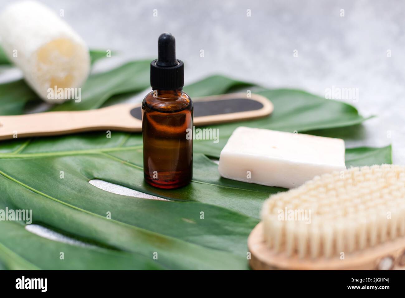 Cosmetici naturali per il bagno sullo sfondo di una foglia di palma. Sapone idratante per il corpo, siero e olio, loofah e spazzola di drenaggio. Foto Stock
