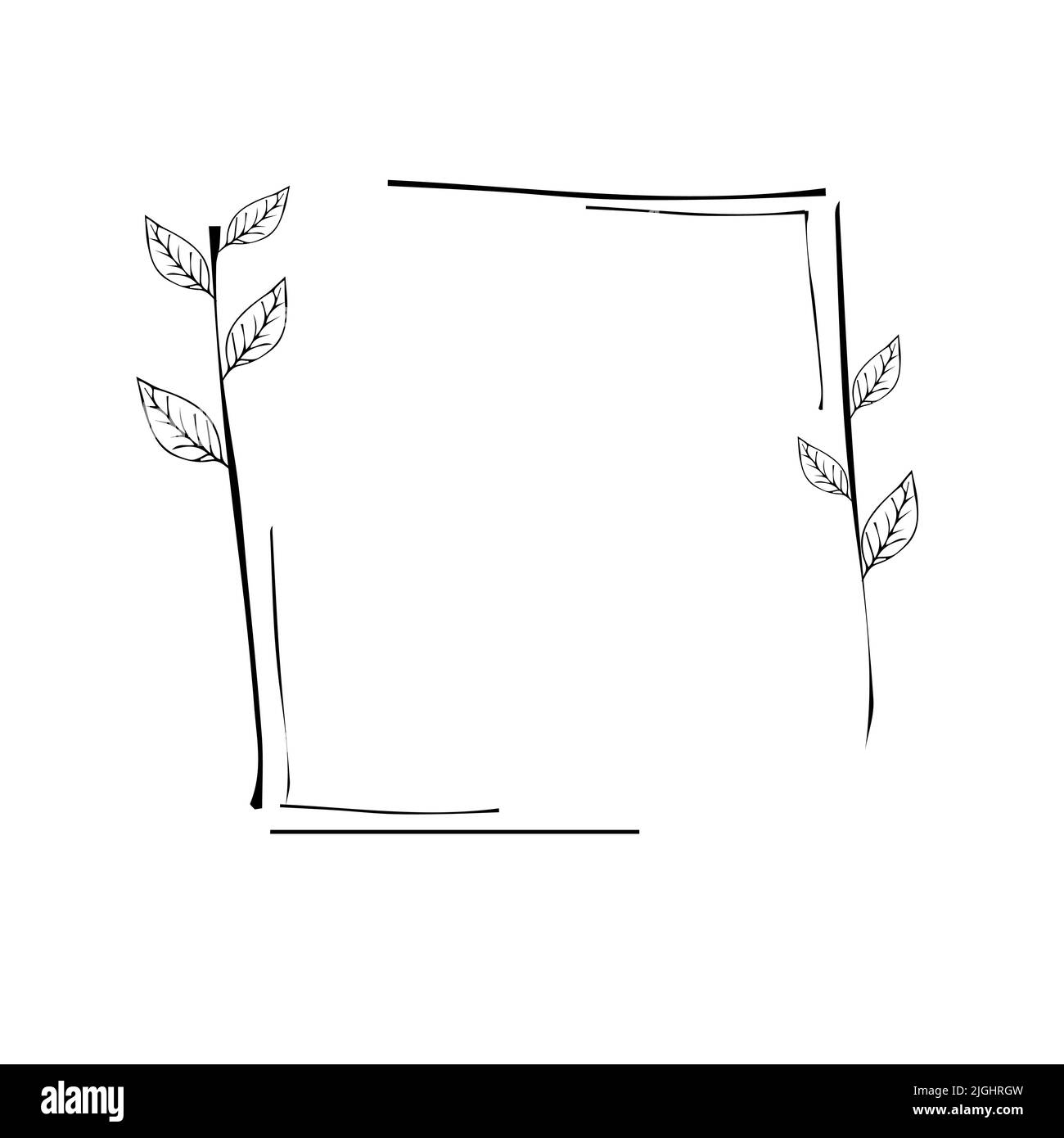 Elegante cornice floreale, silhouette bordata in stile doodle disegnato a mano isolato su sfondo bianco. Decorazione, clip delicato art. Illustrazione vettoriale Illustrazione Vettoriale