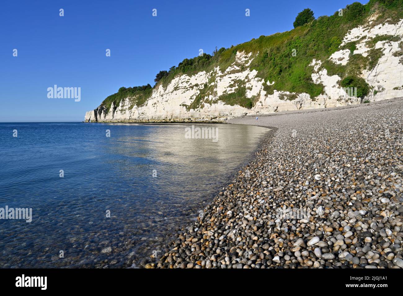 Devon Beer Beach e Beer Head Chalk Cliffs Estate Foto Stock