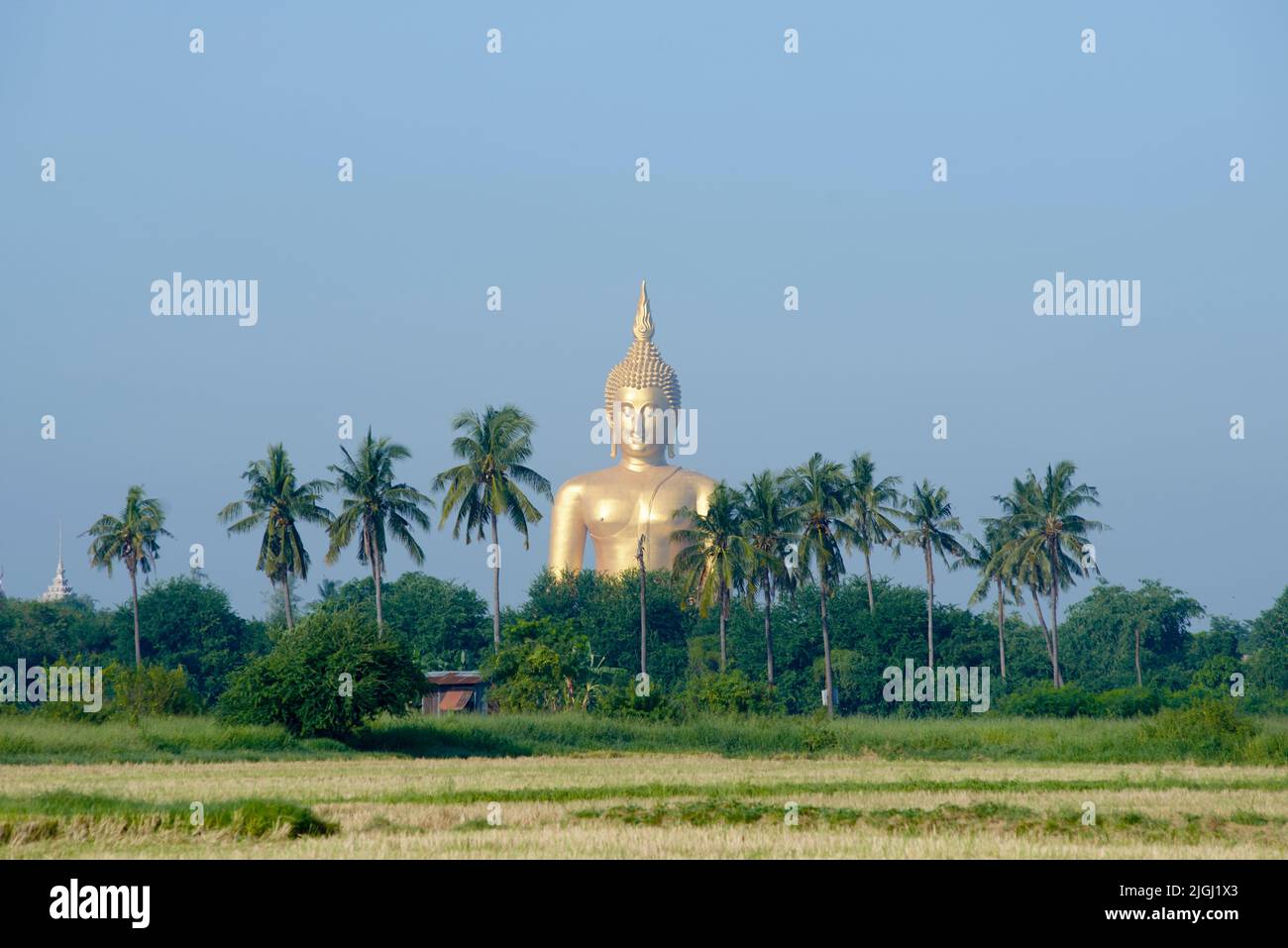 Vista frontale del Grande Buddha di Thailandia Foto Stock