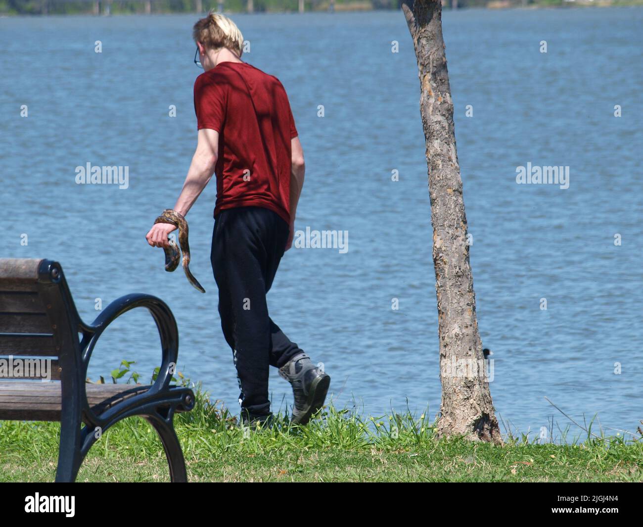 North Texans Candid momenti Foto Stock