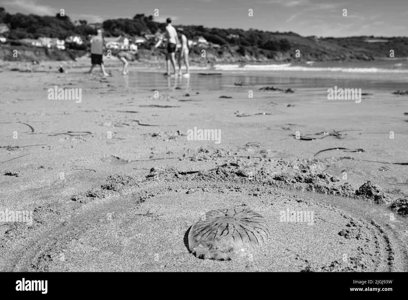 Vista sulla spiaggia di Coverack, Cornovaglia Foto Stock