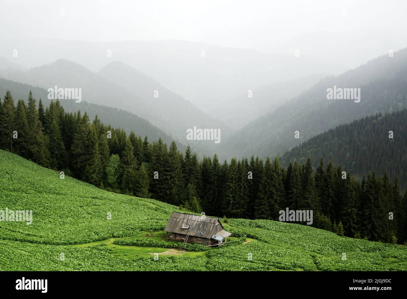 Pittoresco prato estivo con vecchia casa in legno e cielo nuvoloso nelle montagne dei Carpazi, Ucraina. Fotografia di paesaggio Foto Stock