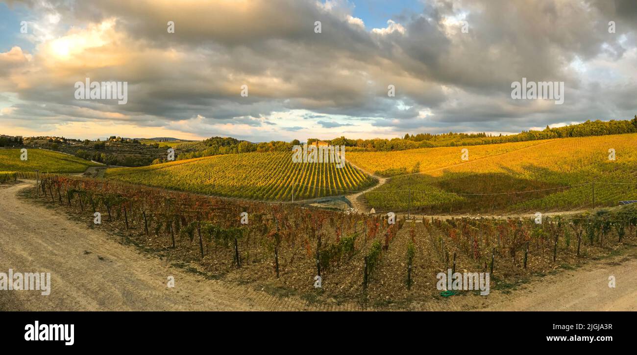 Vista panoramica sul paesaggio della regione vinicola del Chianti in Toscana, Italia, Europa nel tardo pomeriggio con spettacolari nuvole. Foto Stock
