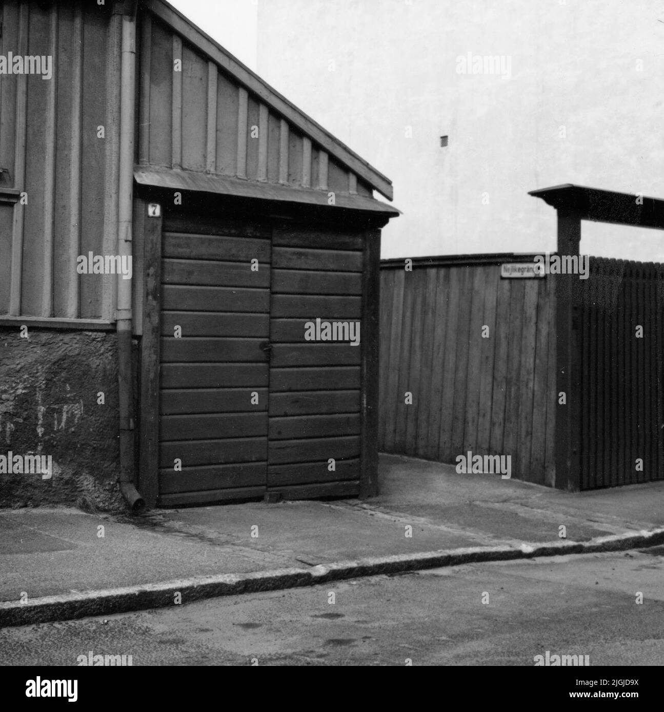 Il garofano a Karlskrona. Foto Stock