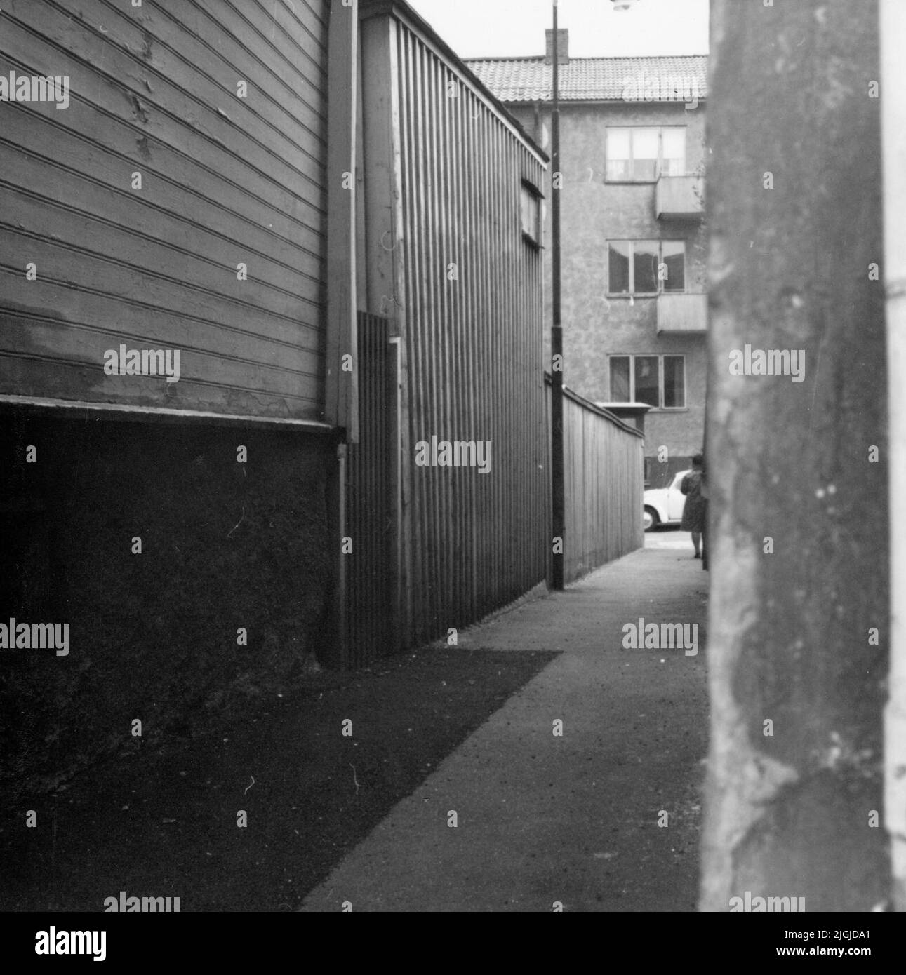 Il garofano a Karlskrona. Foto Stock