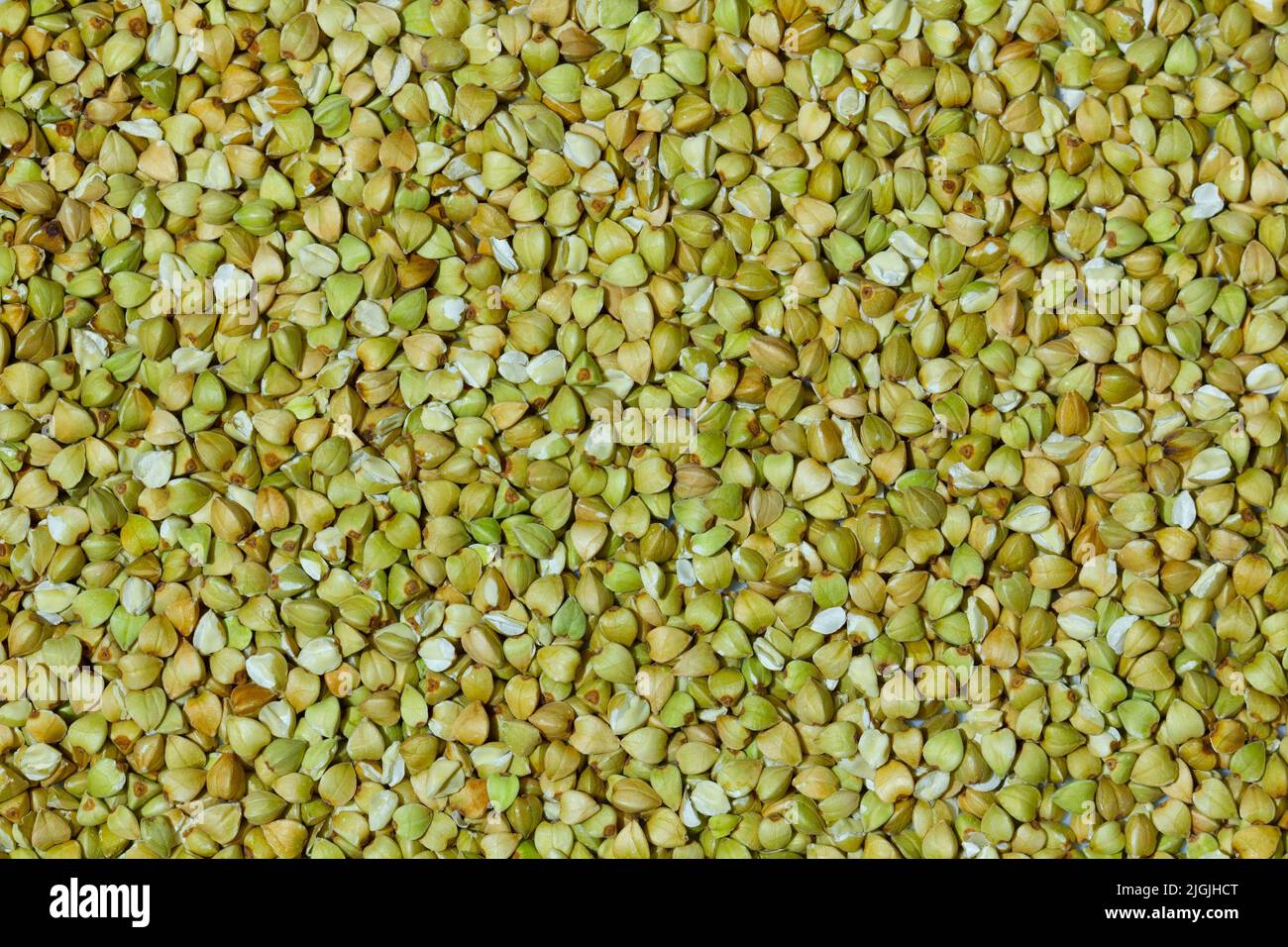Grano saraceno crudo naturale. Grani di grano saraceno crudo non cotti al vapore. Grano saraceno biologico pronto per la cottura del porridge. Ecologicamente pulito sano Foto Stock