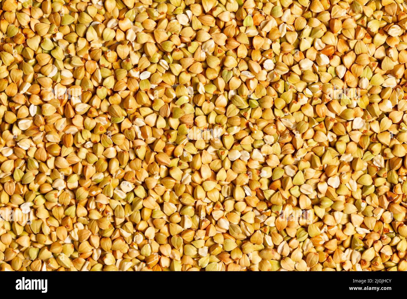 Grano saraceno crudo naturale. Grani di grano saraceno crudo non cotti al vapore. Grano saraceno biologico pronto per la cottura del porridge. Ecologicamente pulito sano Foto Stock