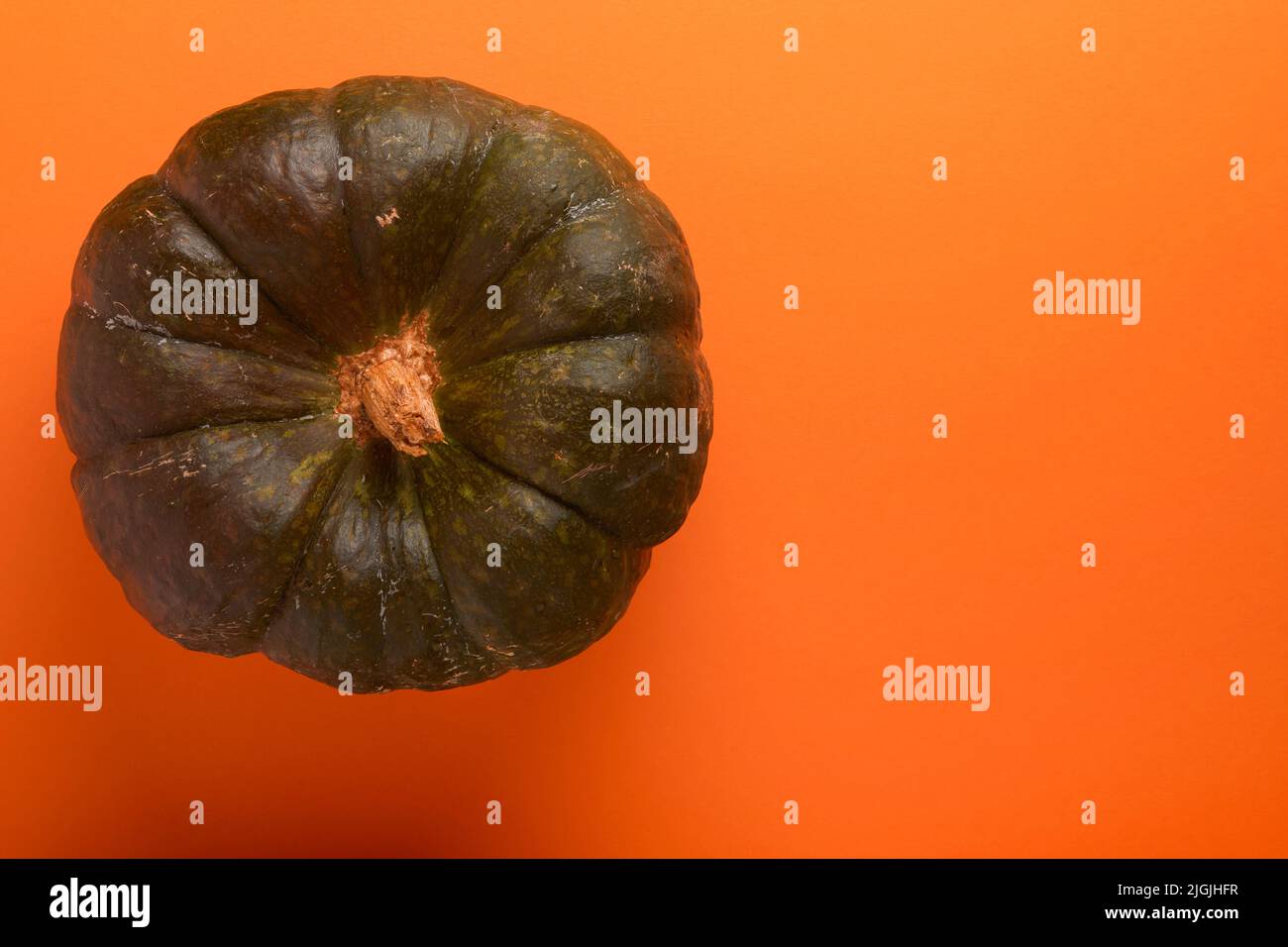 Zucca di Halloween. Una zucca, grande, vecchia e verde su sfondo arancione. Decorazione autunnale. Banner. Concetto di Halloween. Vista dall'alto. Foto Stock