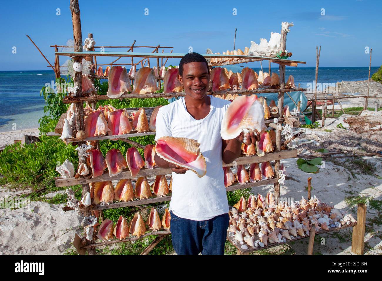 Giamaica, lungo la costa nord si può acquistare conchiglie come souvenir, ma è illegale importare questi in molti paesi. Foto Stock