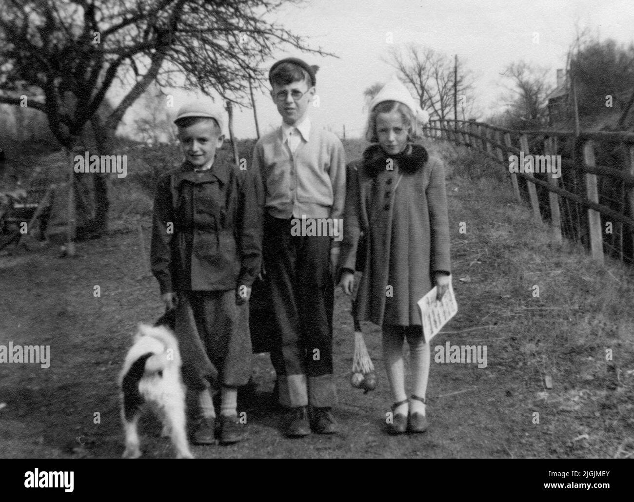 Ungdom i cugini si incontrano a metà del 1950s con nonna e nonna che vivevano a Hulta (Leif, Billy e Birgit) il cane si chiama Bella. Foto Stock