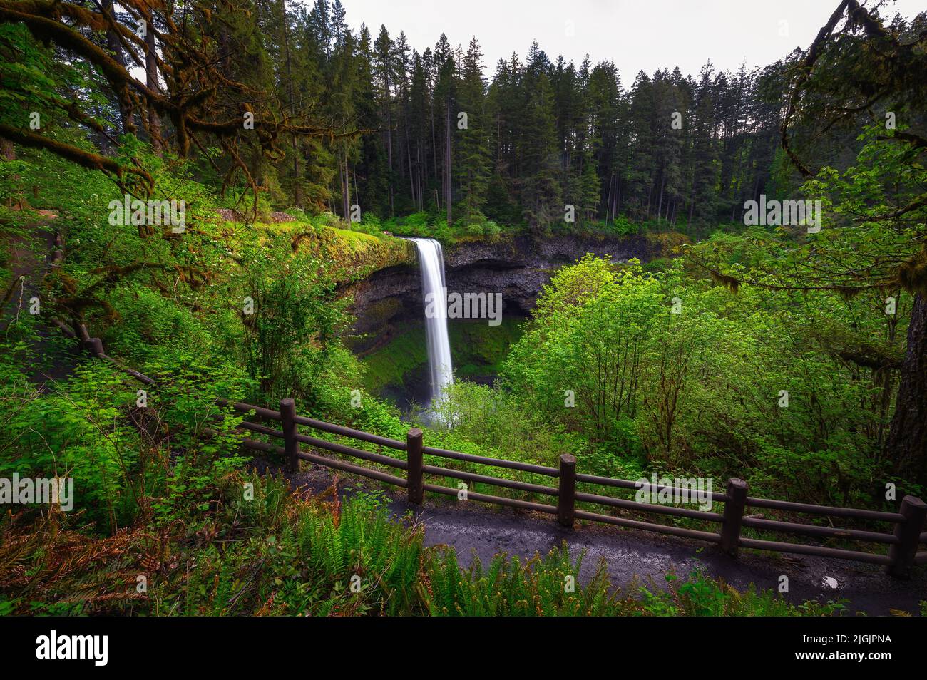 South Falls nel Silver Falls state Park, Oregon Foto Stock