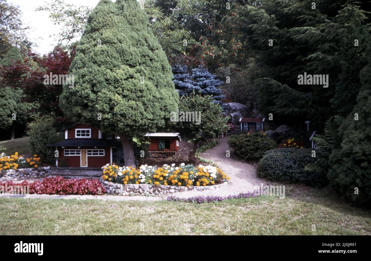 Fattoria dei fiori, Eringsboda. Foto Stock
