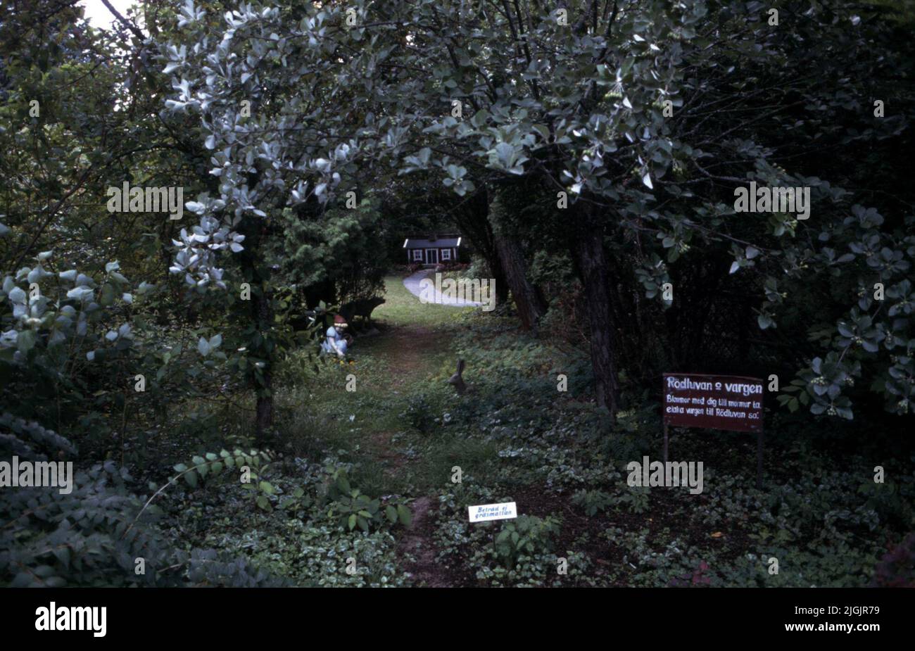 Fattoria dei fiori, Eringsboda. Foto Stock