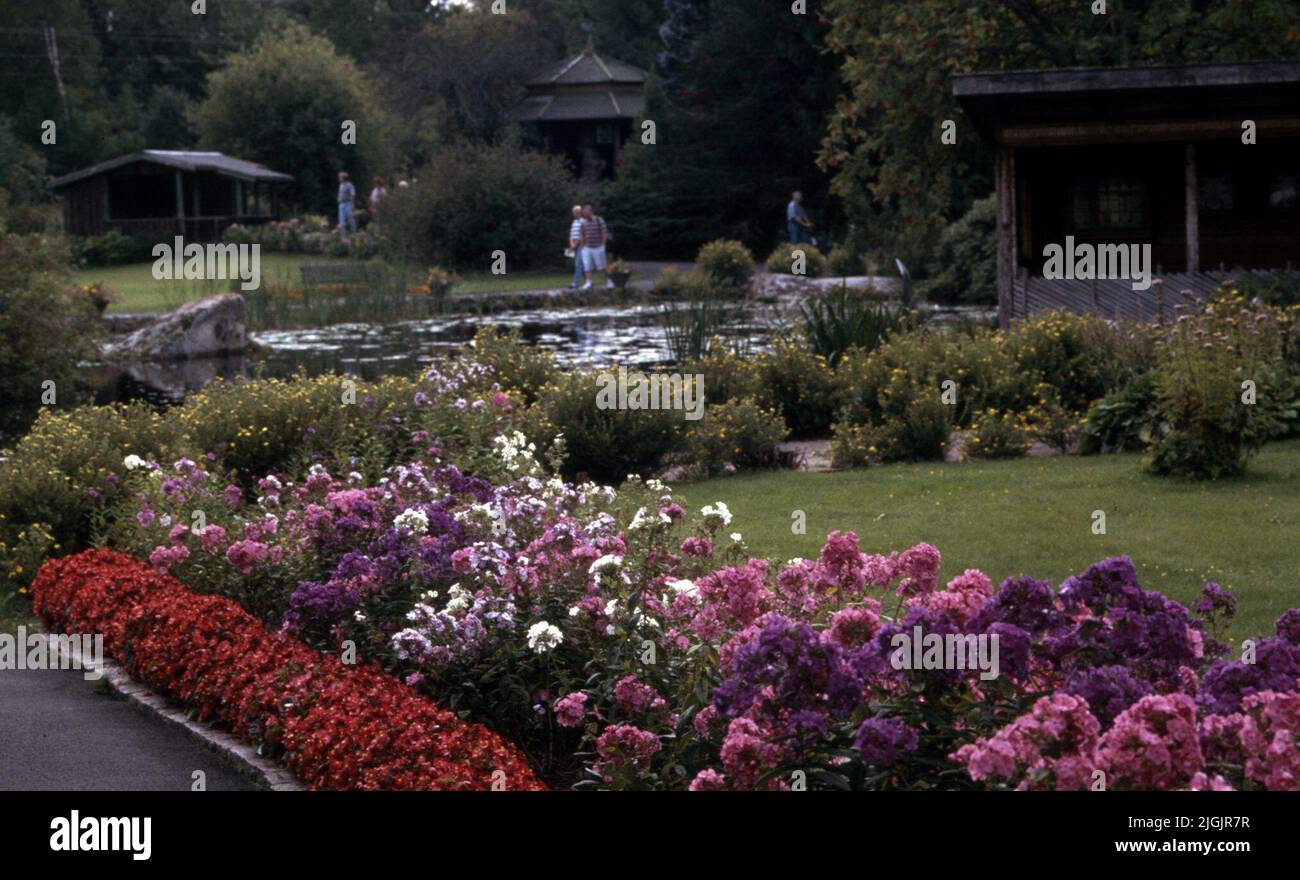 Fattoria dei fiori, Eringsboda. Foto Stock