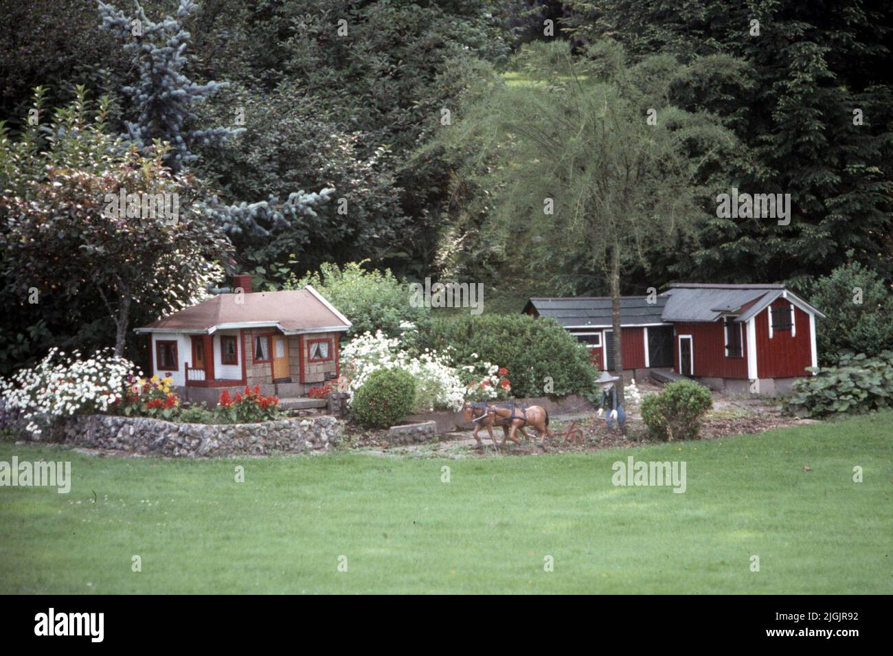 Fattoria dei fiori, Eringsboda. Foto Stock