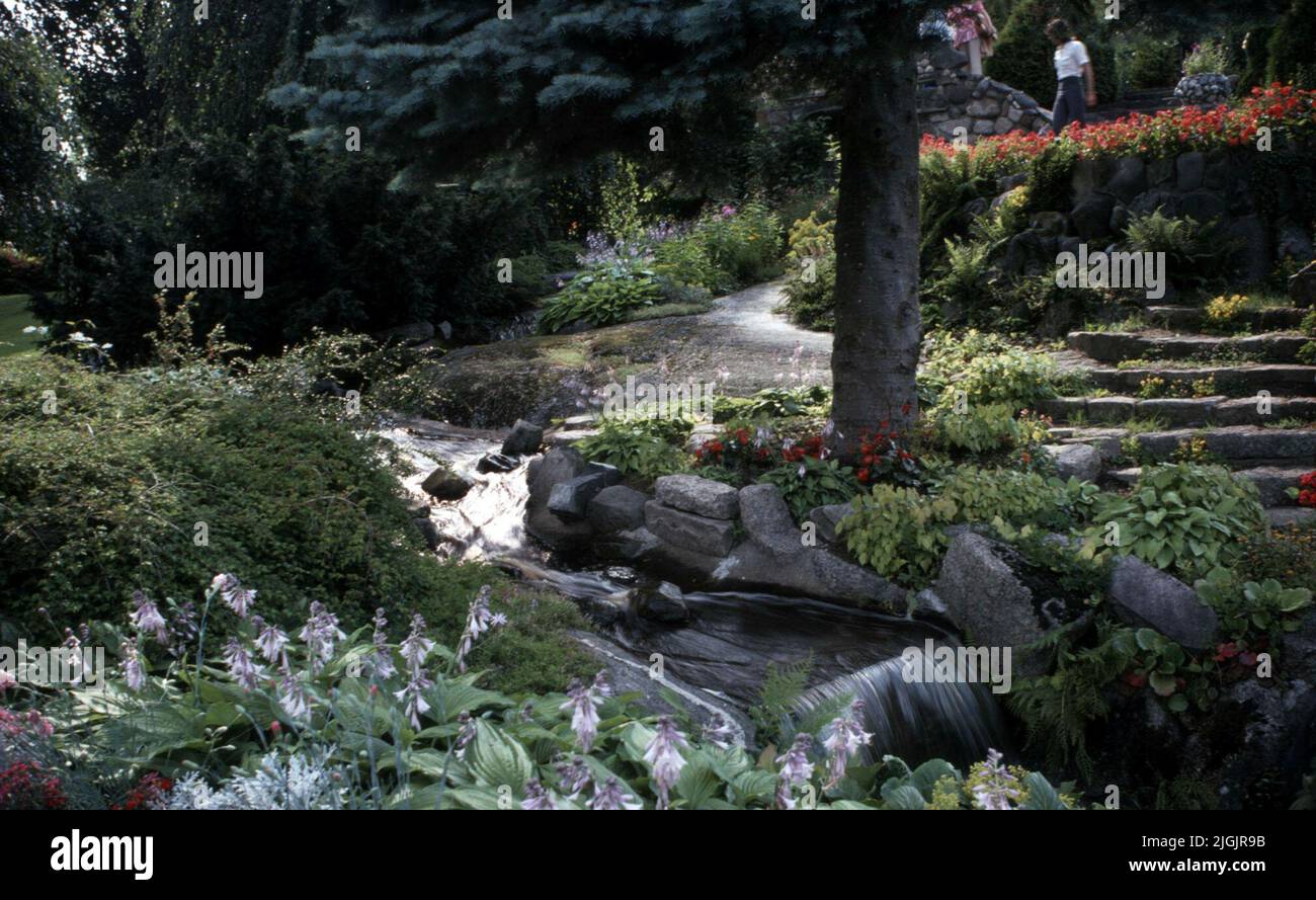 Fattoria dei fiori, Eringsboda. Foto Stock