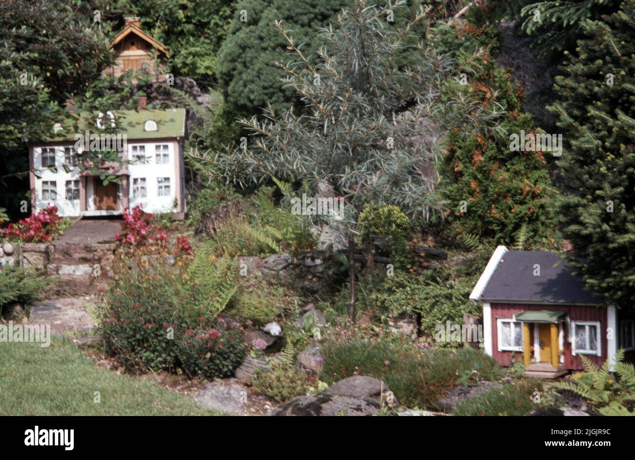 Fattoria dei fiori, Eringsboda. Foto Stock