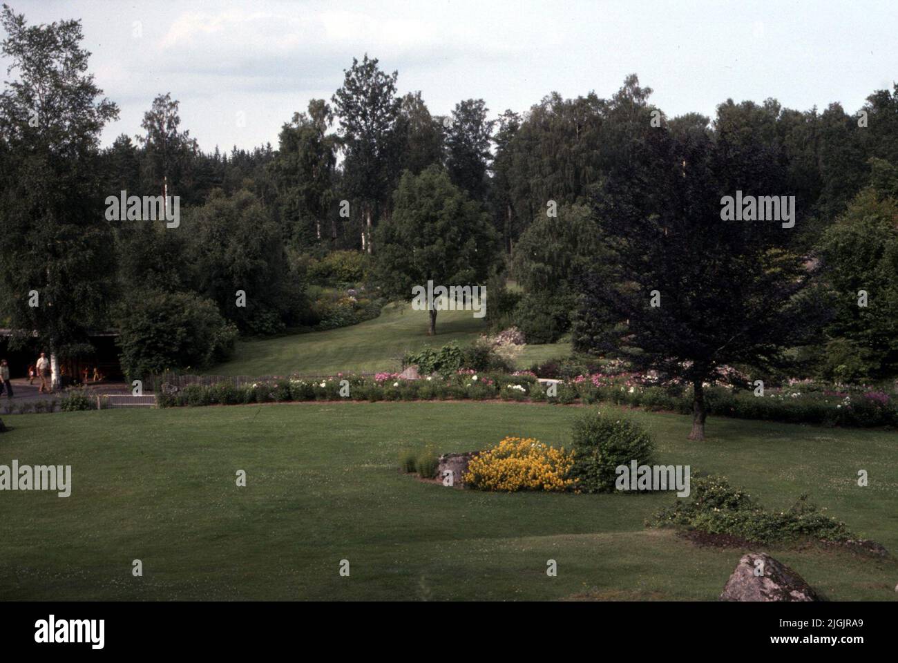 Fattoria dei fiori, Eringsboda. Foto Stock