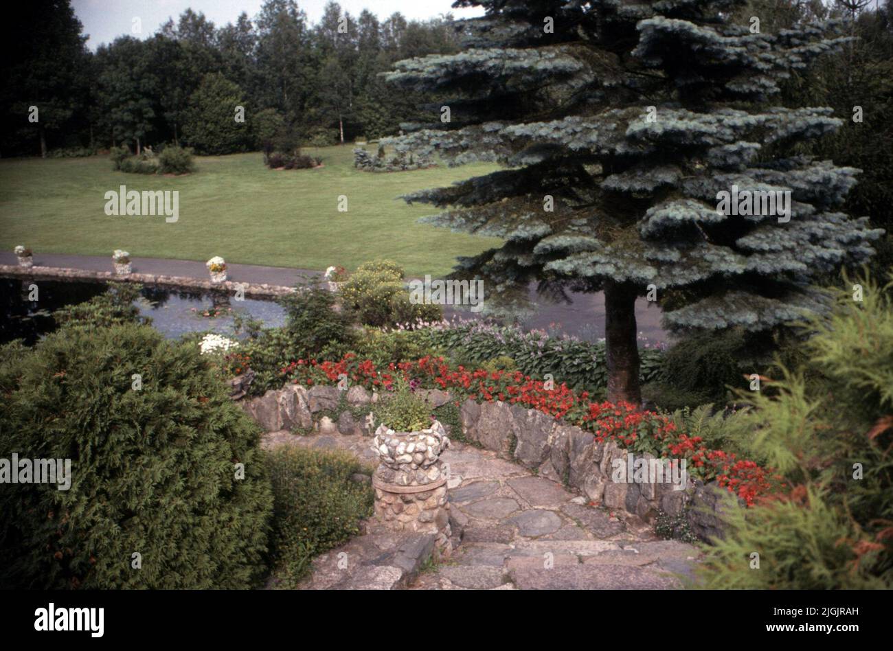 Fattoria dei fiori, Eringsboda. Foto Stock