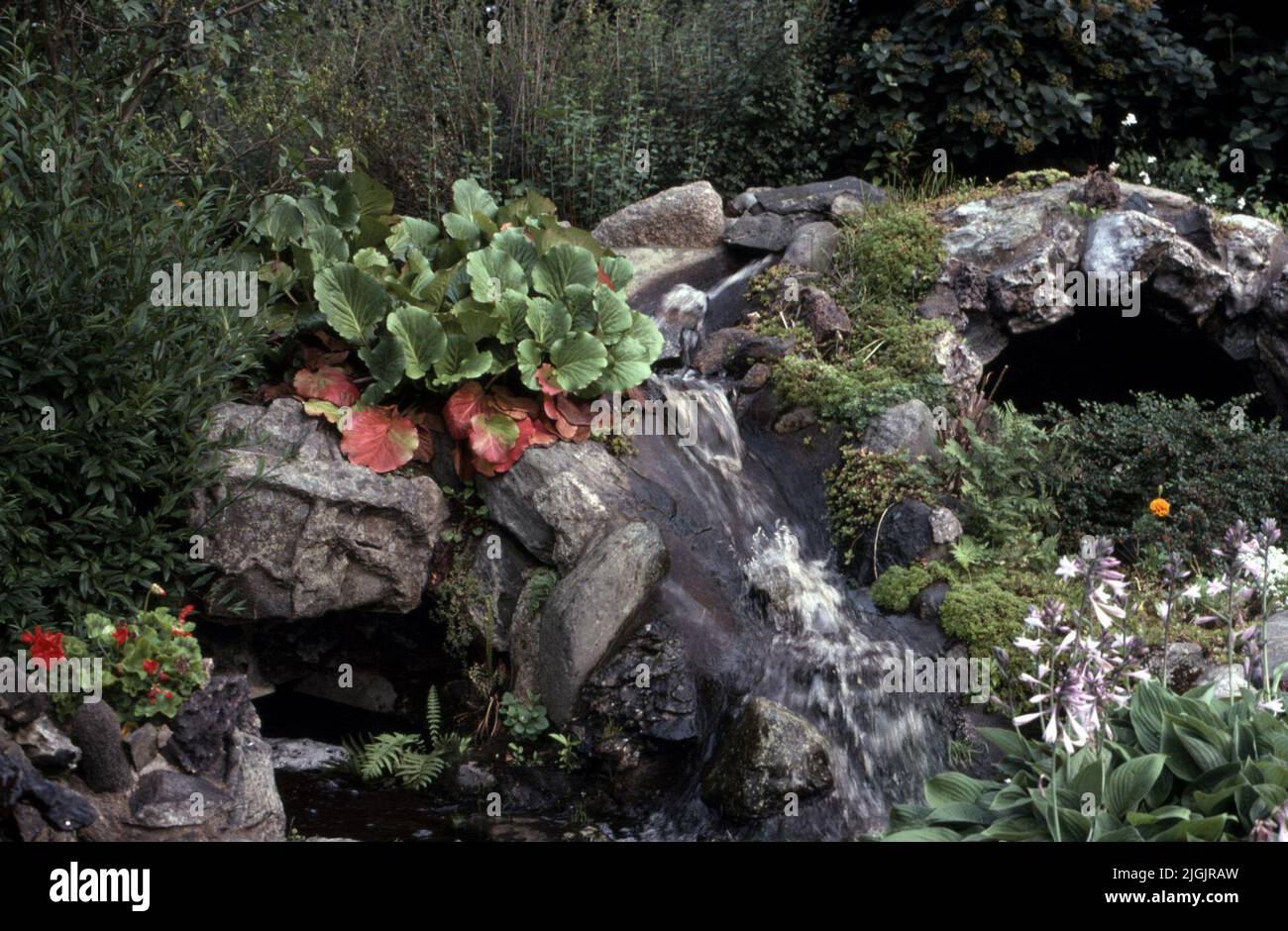 Fattoria dei fiori, Eringsboda. Foto Stock