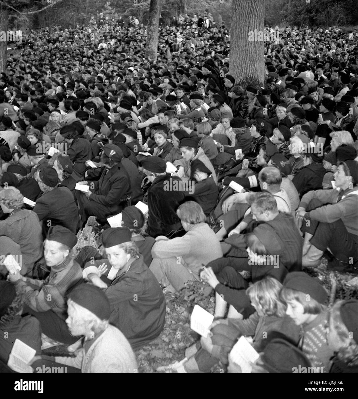 Scoutrörelse tempo di incanto al campo di Tromtö. 3000 scout dall'Europa e alcuni scout provenivano da paesi al di fuori dell'Europa. Foto Stock