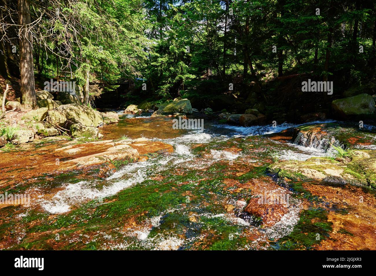 Fiume Lomnica nelle montagne di Karpacz in Polonia, fiume veloce cascata di montagna con pietre, bellissimo paesaggio naturale Foto Stock