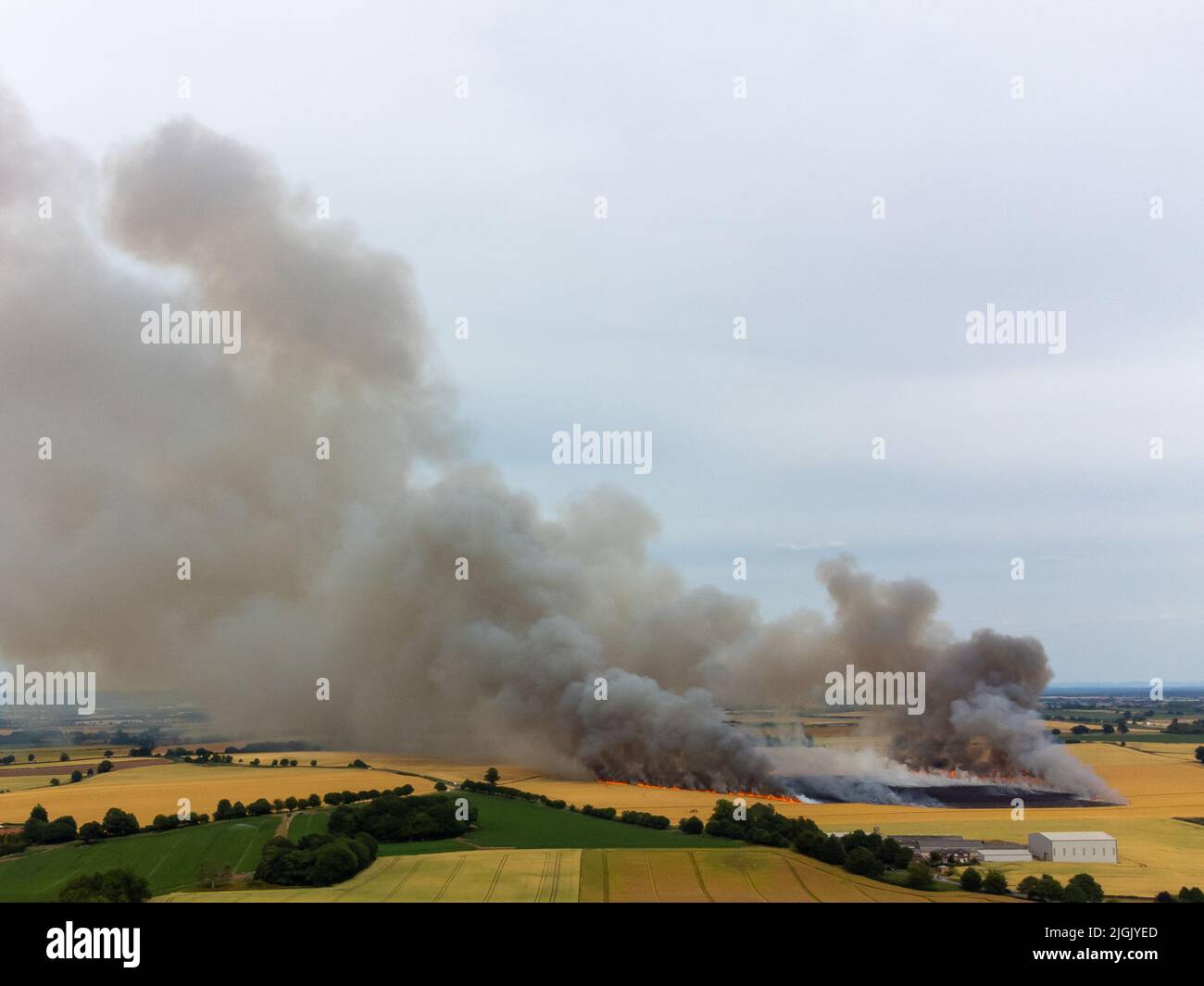 Ripon, North Yorkshire, Regno Unito. 11th luglio 2022. Fumo e fiamme riempiono l'aria in questo campo fuoco durante l'estate calda. L'incendio nei terreni agricoli vicino a Ripon è stato causato da una mietitrebbia che ha catturato l'incendio e diffuso al raccolto che veniva raccolto. Foto Stock