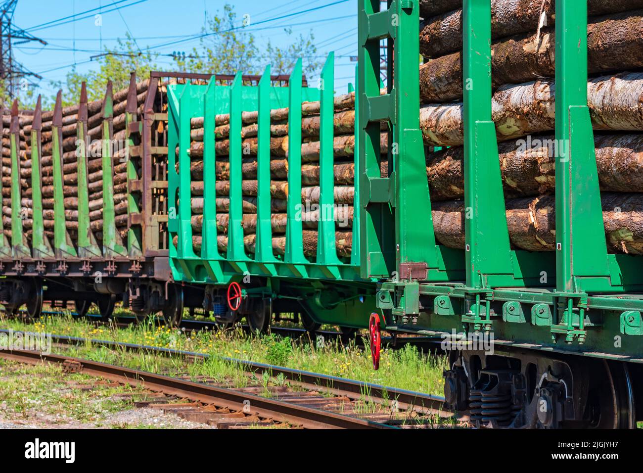 carri ferroviari caricati per il trasporto di tronchi da vicino Foto Stock