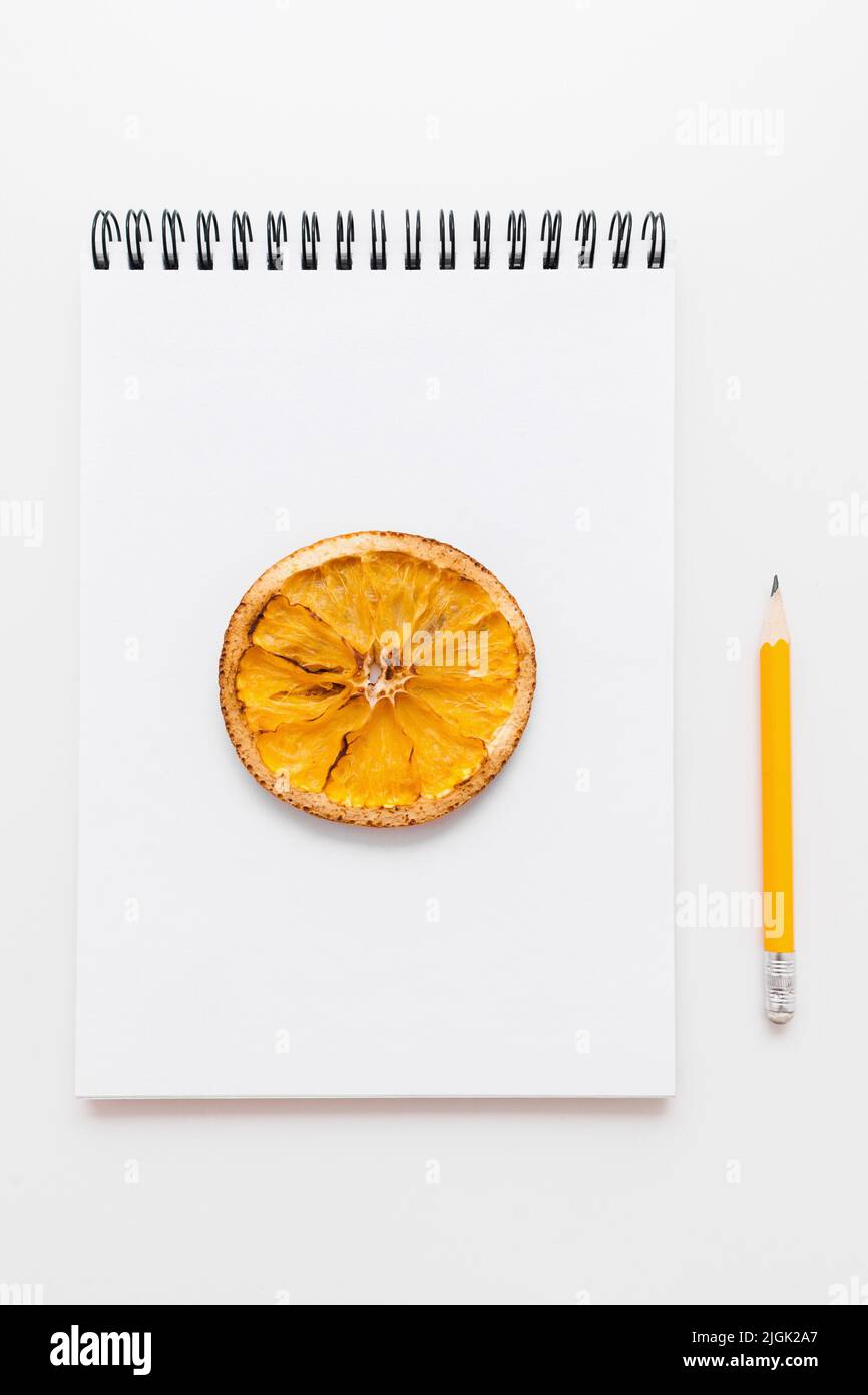 Disegno di limone essiccato in schetchbook e matita Foto Stock