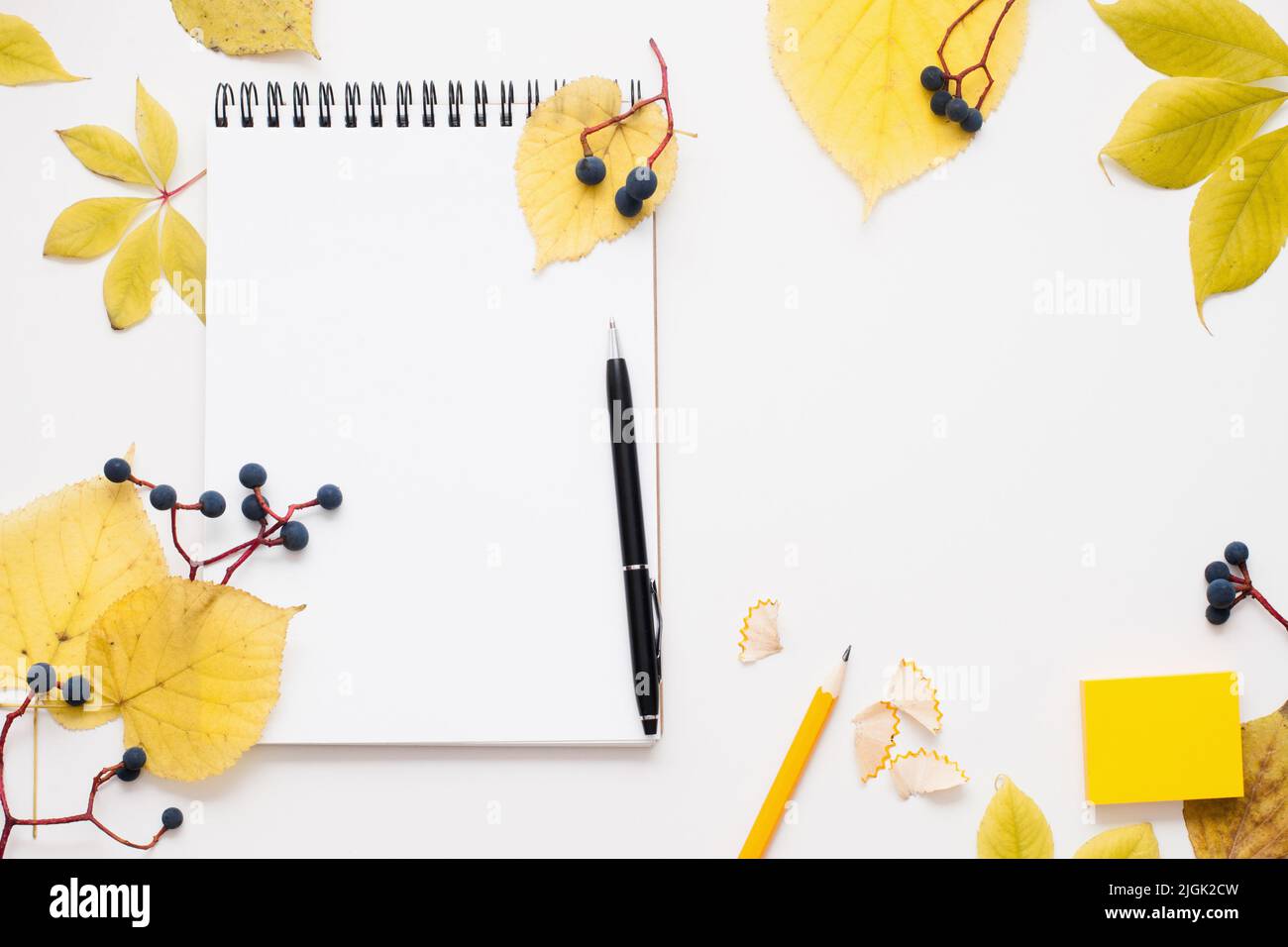 Blocco note vuoto con penna in autunno foglie cornice Foto Stock