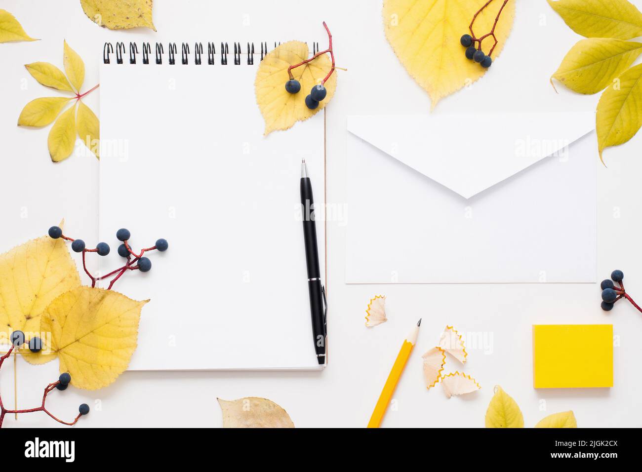 Blocco note vuoto e busta in autunno foglie cornice Foto Stock