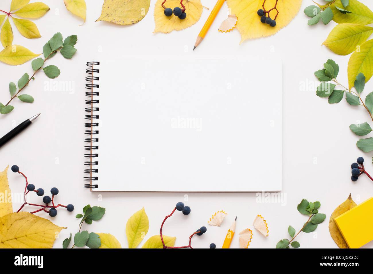 Blocco note vuoto in autunno foglie cornice, spazio libero Foto Stock