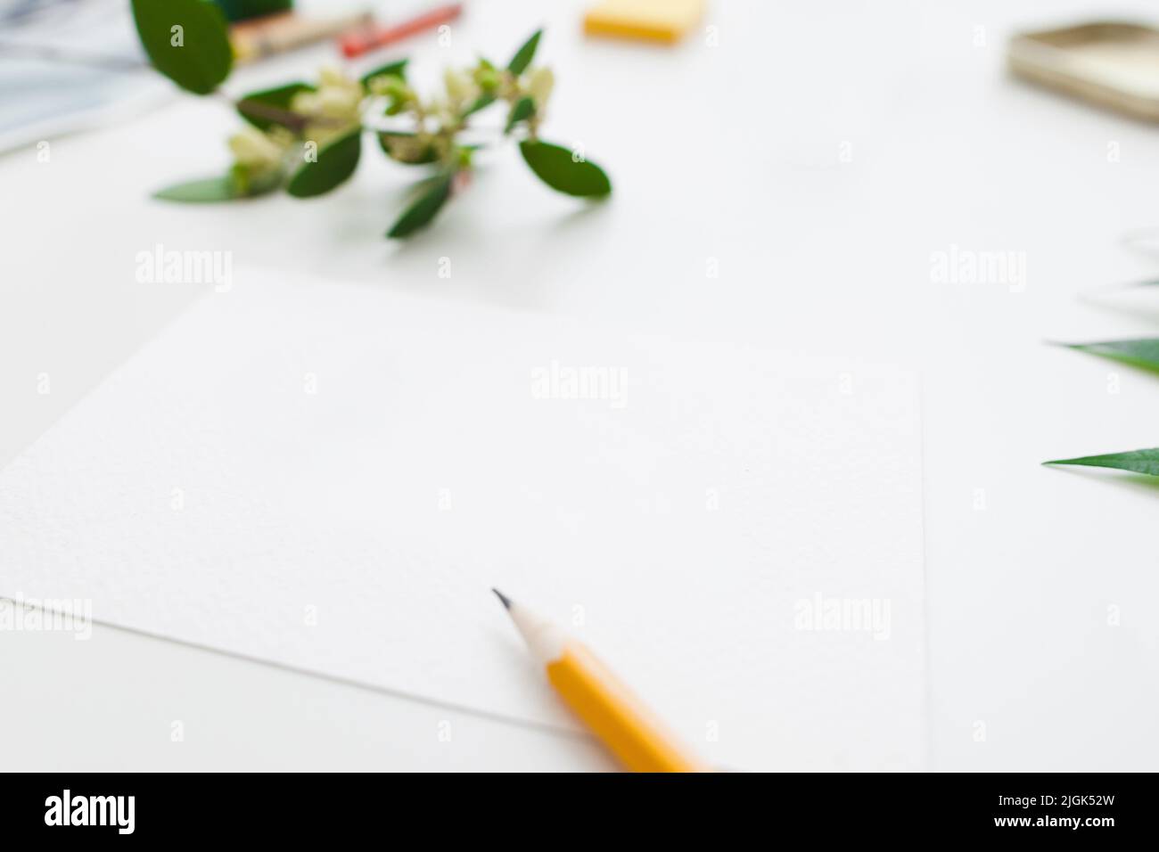 Carta bianca con matita e fiori spazio libero Foto Stock