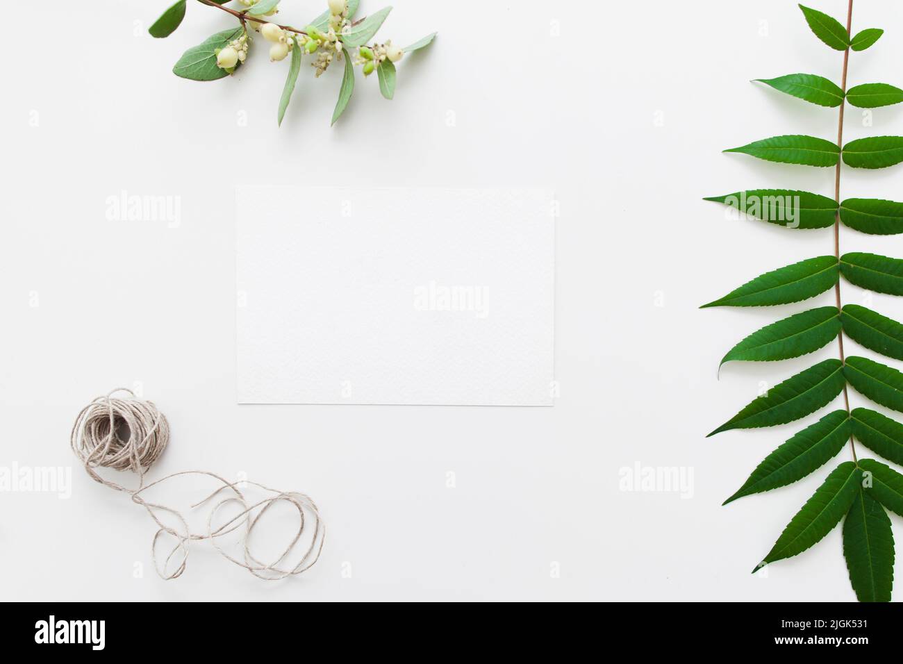 Carta vuota con spago e foglie verdi piatte Foto Stock
