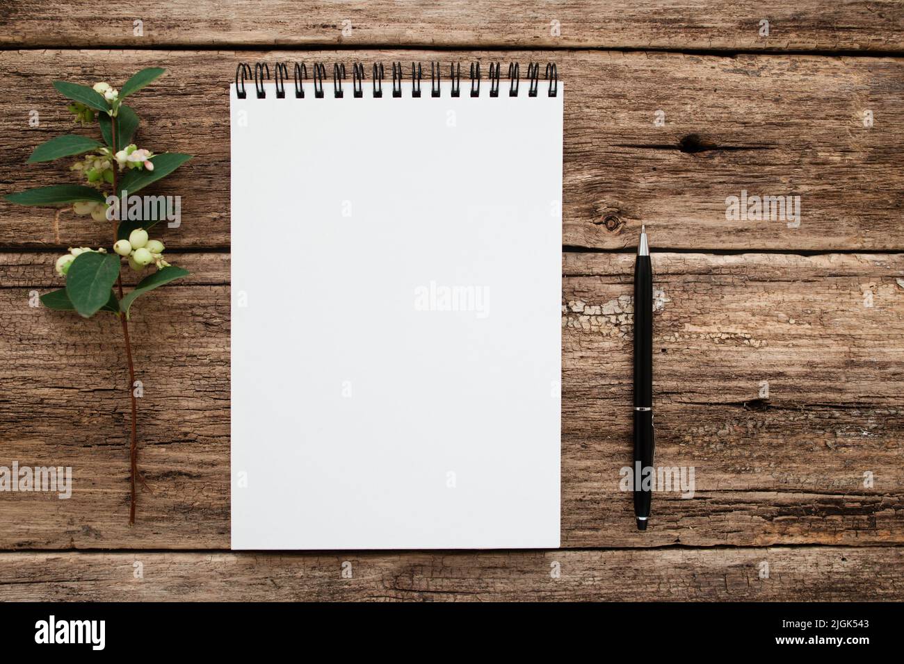 Taccuino bianco vuoto con fiori e pen flat Foto Stock