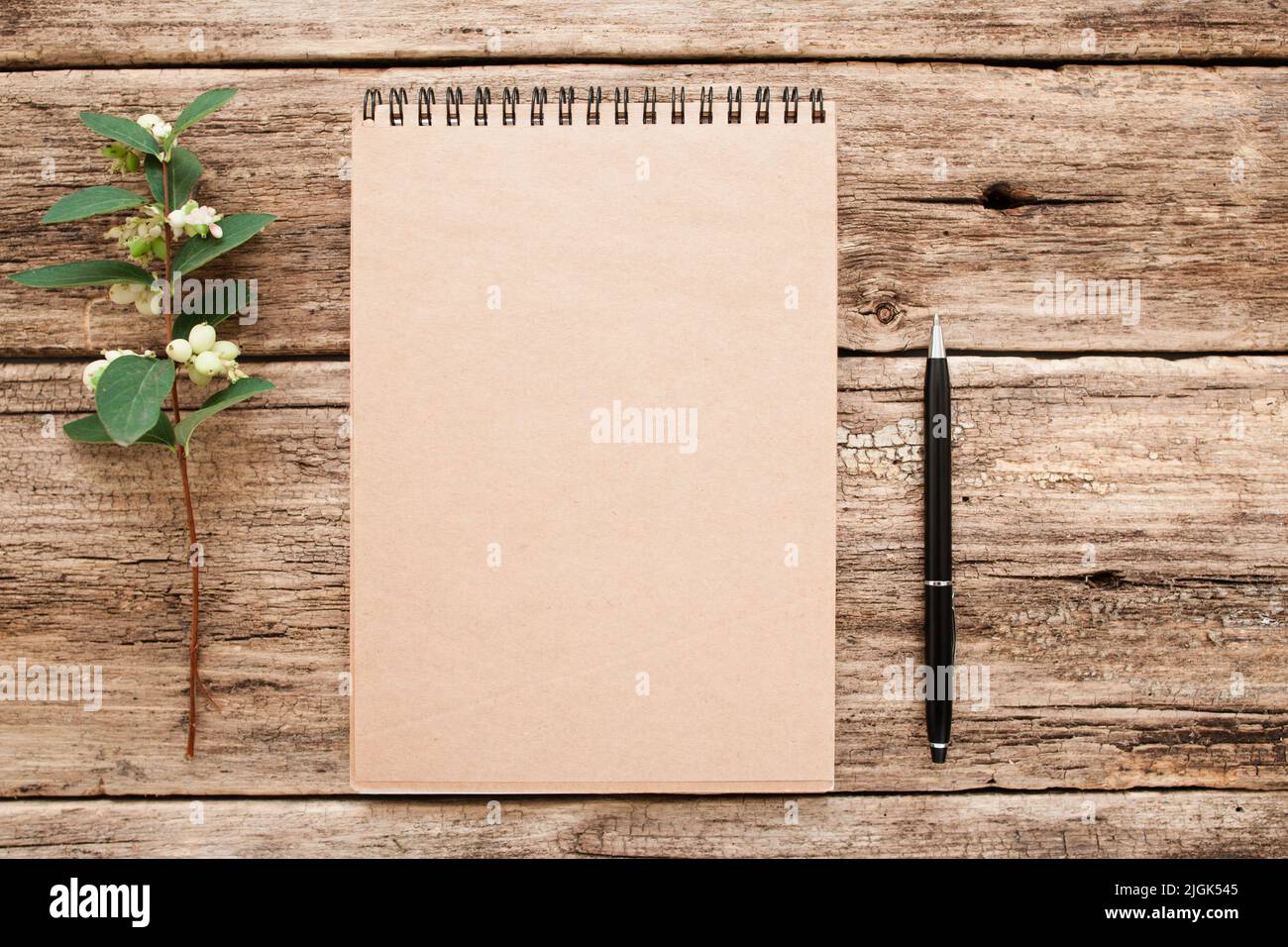 Libro di schizzo vintage con penna e mockup di fiori Foto Stock