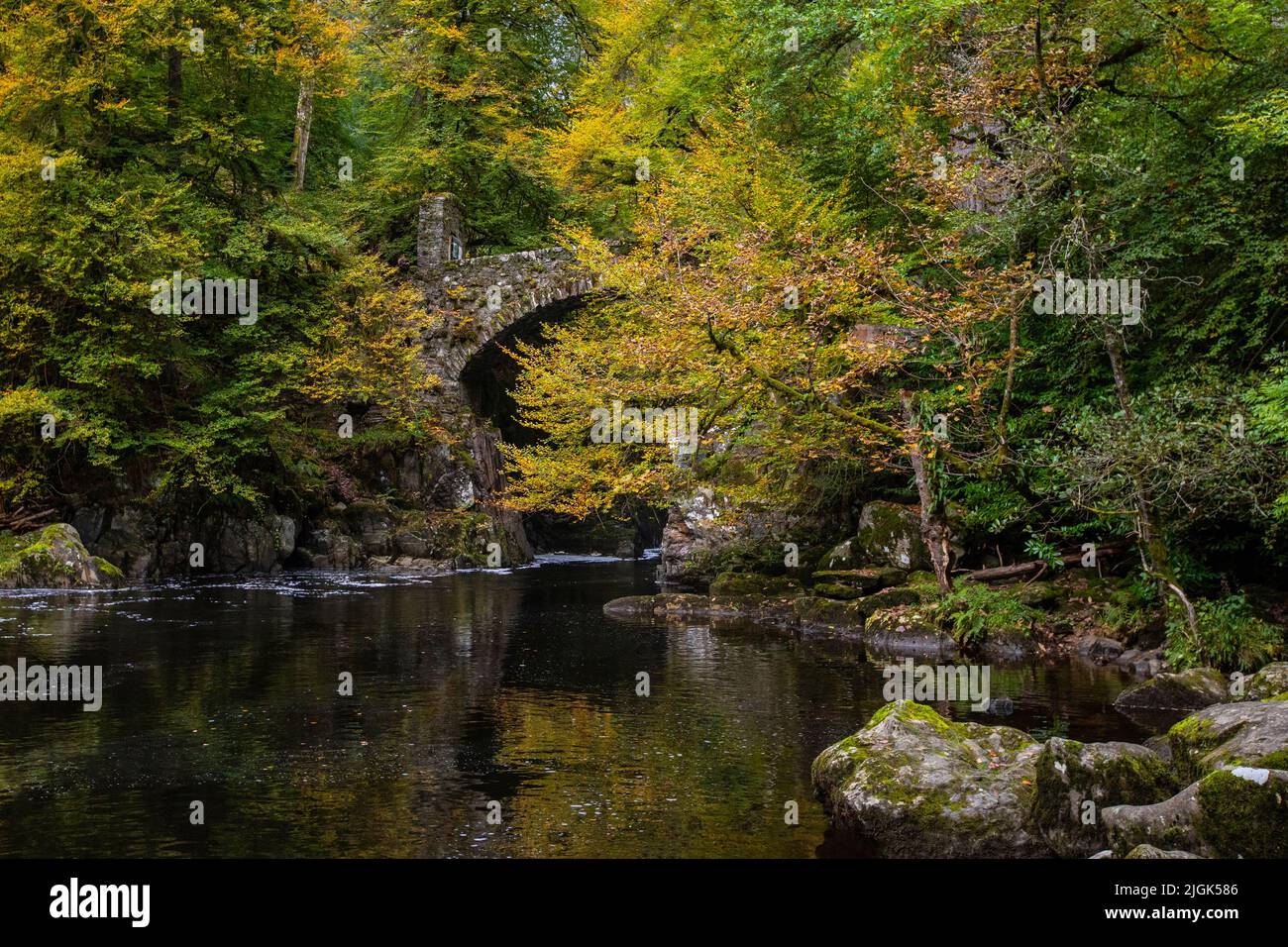 Dunkeld, Scozia - Ottobre 11th 2021: Una vista pittoresca di un vecchio ponte di pietra sul fiume Braan nel bosco Hermitage a Dunkeld, Scozia. Foto Stock