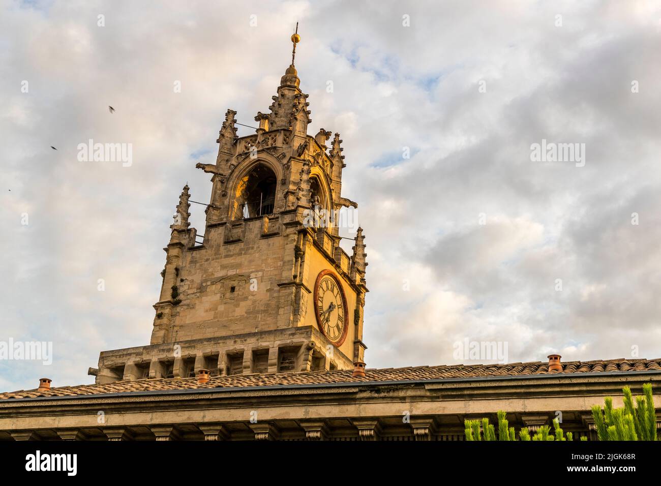 Il campanile gotico della Basilica di San Pietro ad Avignone risplende nella luce dorata del mattino contro un cielo nuvoloso, Francia. Il campanile fu completato nel 1495. Foto Stock